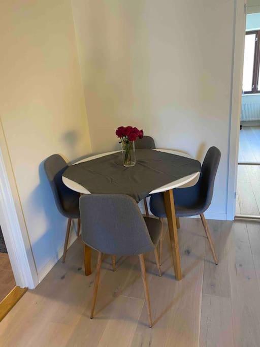Moderne Leilighet Midt I Sentrum Av Fredrikstad Buitenkant foto